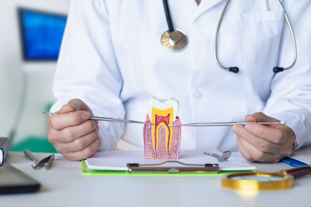 Best Emergency Gum Treatment in Bruceville Eddy, TX